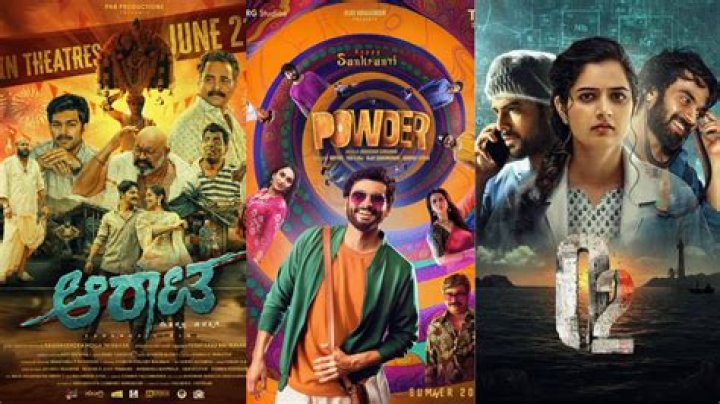2024 Kannada Films: Highest Grossing & Reviews