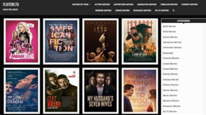 Beware: Risks of Illegal Movie Sites Like Filmy4wap & Alternatives