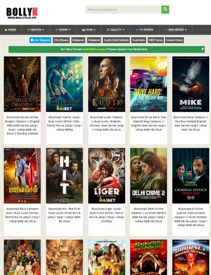 Bollyflix: Free Bollywood, Hollywood & South Indian Movies - Watch Now!