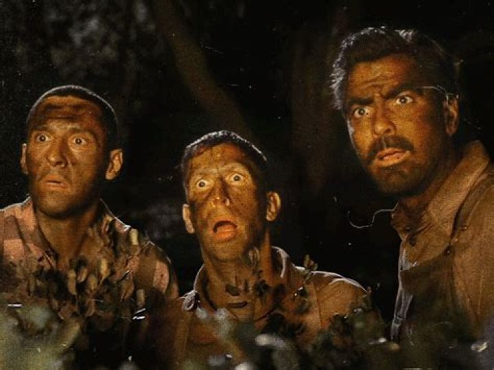 Clooney O Brother: A Comprehensive Exploration of the Iconic Legend
