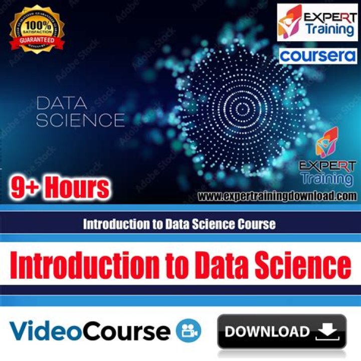Data Science & Wellness: Expert Insights From Bianca Dantas & More
