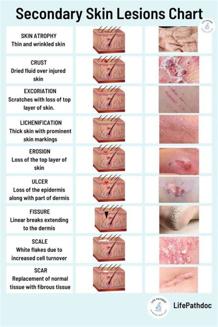 Dermatology & Desi Community: Find Services & Connect Now!