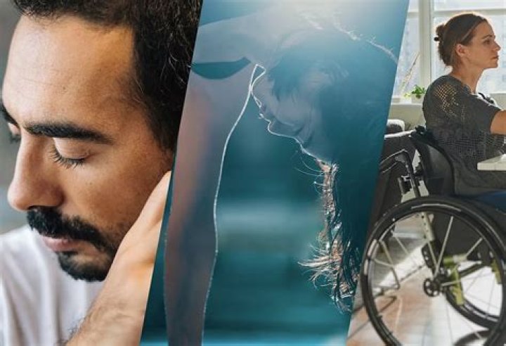 Discover: Accessibility & Entertainment: Vegan Movies & More!