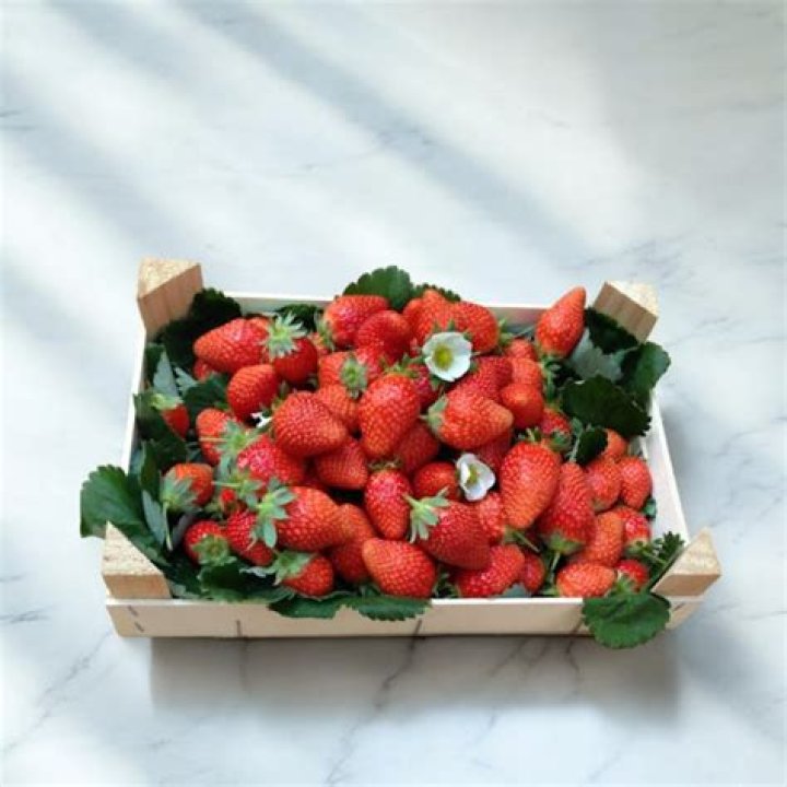 Discover: Mariguette Strawberries & Pink Star - Latest News