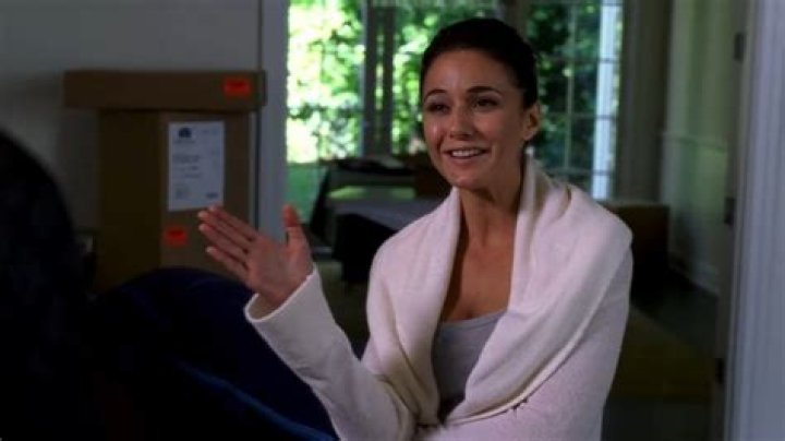 Emmanuelle Chriqui's Sloan on Entourage: A Look Back