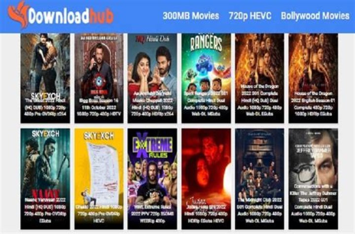 Explore: Your Guide to 300MB Movies, 480p/720p & Web Series!