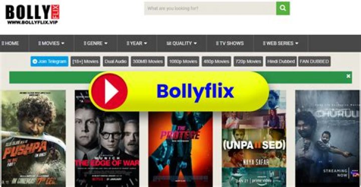 Exploring Bollyflix 300 & More: Movies, Downloads, & News [2024]