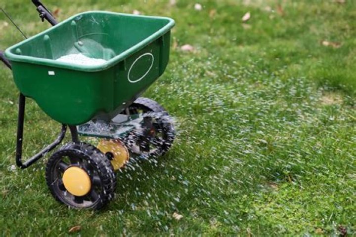 Hiram, GA Lawn Care: Weed Control & Fertilization Experts