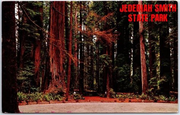 Jedediah Mith Park: A Haven of Natural Beauty and Adventure