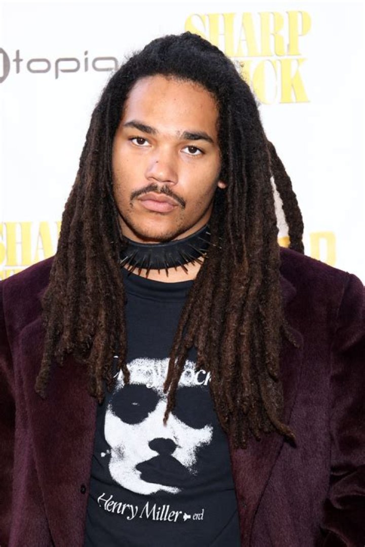 Luka Sabbat Net Worth: Exploring the Wealth of a Rising Star