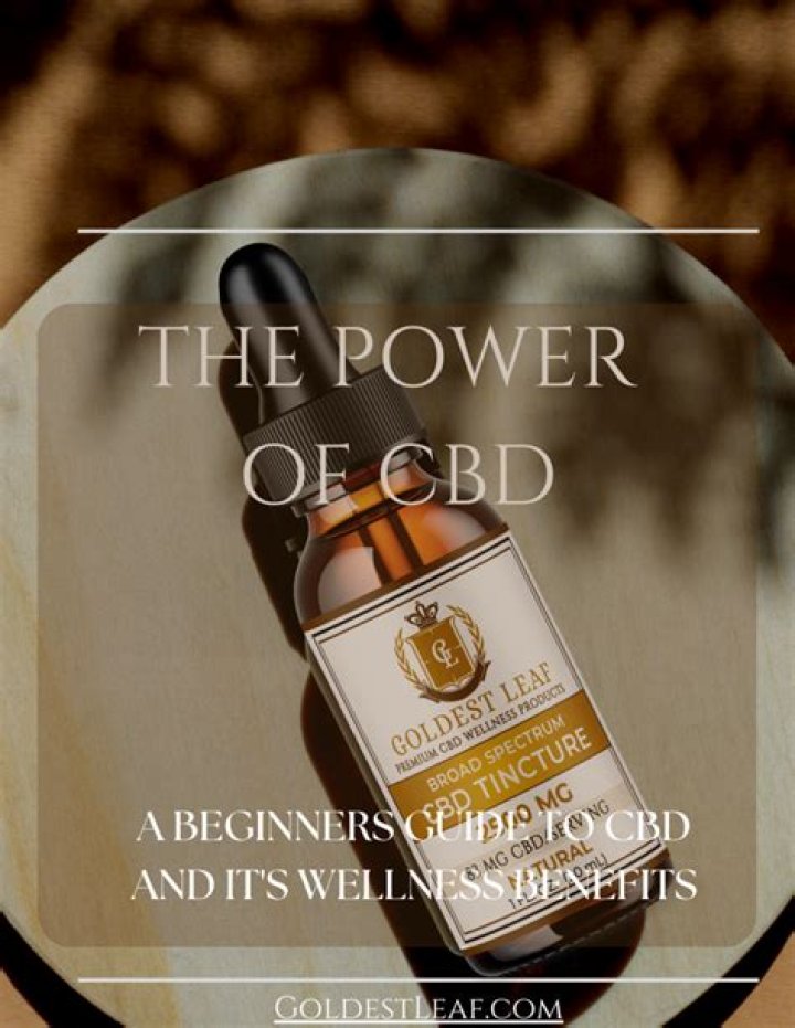Masahub: Your Guide to CBD & Wellness | Explore Now