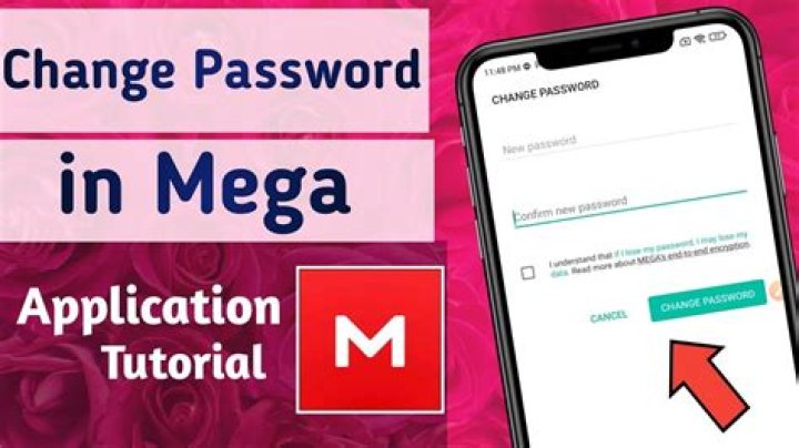 Mega Personal Login Email Sign Up: A Comprehensive Guide