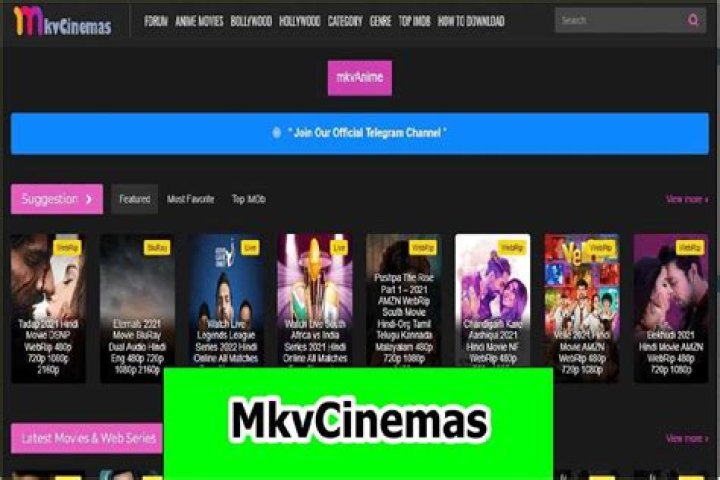 Mkvcinemas 2025: Watch Movies Online? Risks & Alternatives