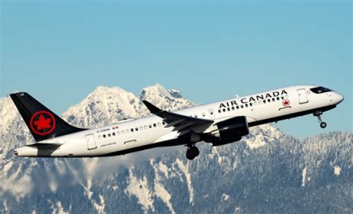 Mydesi & Dropmms Exposed: What You Need to Know Now!