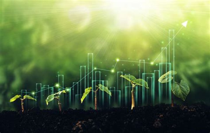 Pine Knov: A Comprehensive Guide to Unlocking the Potential of Pine Forests