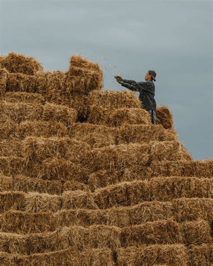 Tractor Supply Outlet Store: Your Ultimate Destination for Farm and Ranch Needs