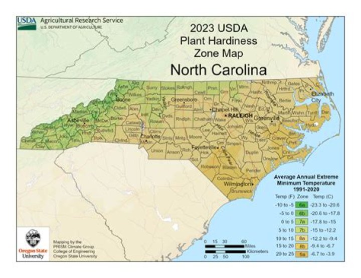 Understanding Climate in Raleigh, NC: A Comprehensive Guide