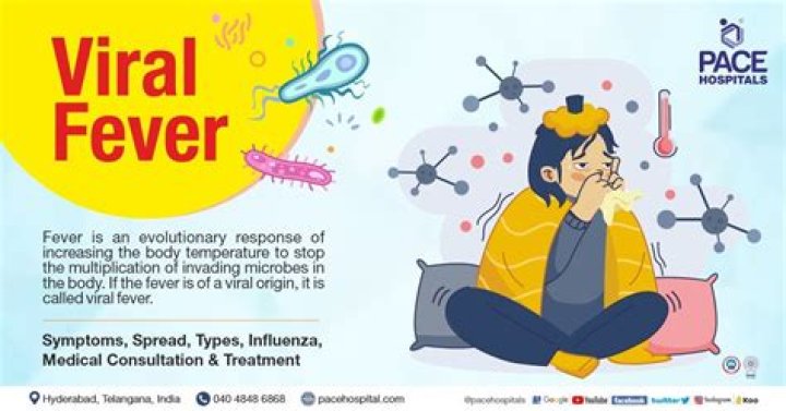 Understanding Viral Infections: Causes, Prevention & More