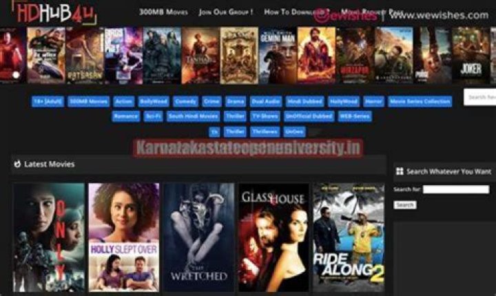 What to Know: HDhub4u & Bollyflix Risks - Latest Updates