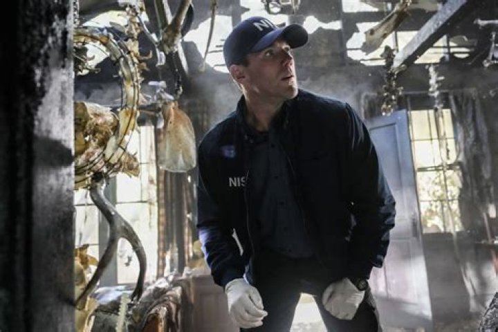 Who Plays Agent David on NCIS: A Comprehensive Guide to the Character and Actor